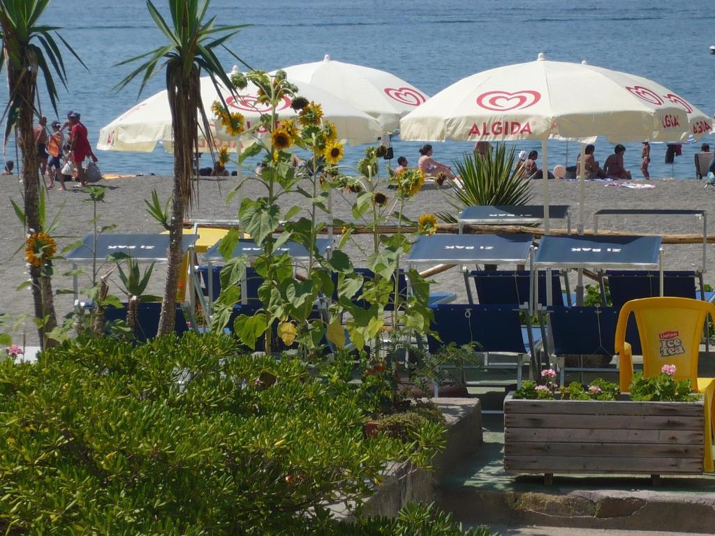 Zi Bak Bed & Breakfast Barano d'Ischia Exterior photo